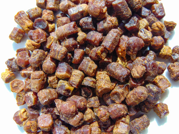 Buy Natural Cat Treats Turkey Hearts: What to Look For Before You Order Freeze-Dried Snacks